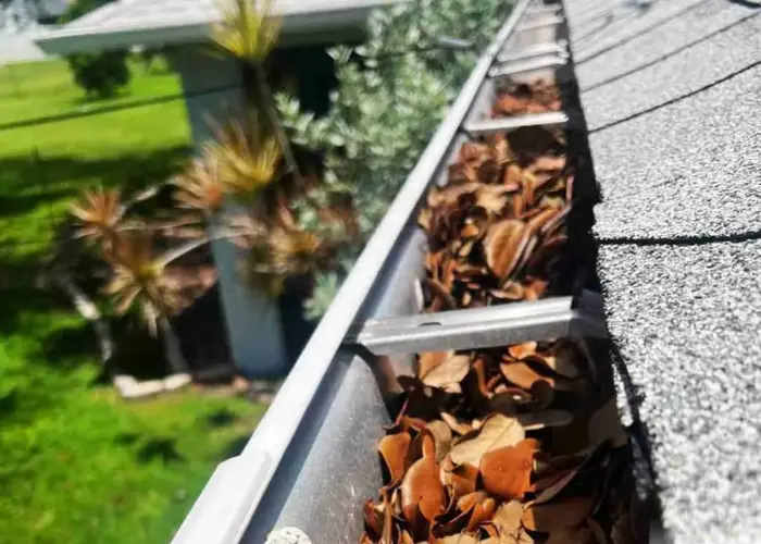 Euclid gutter cleaning home page
